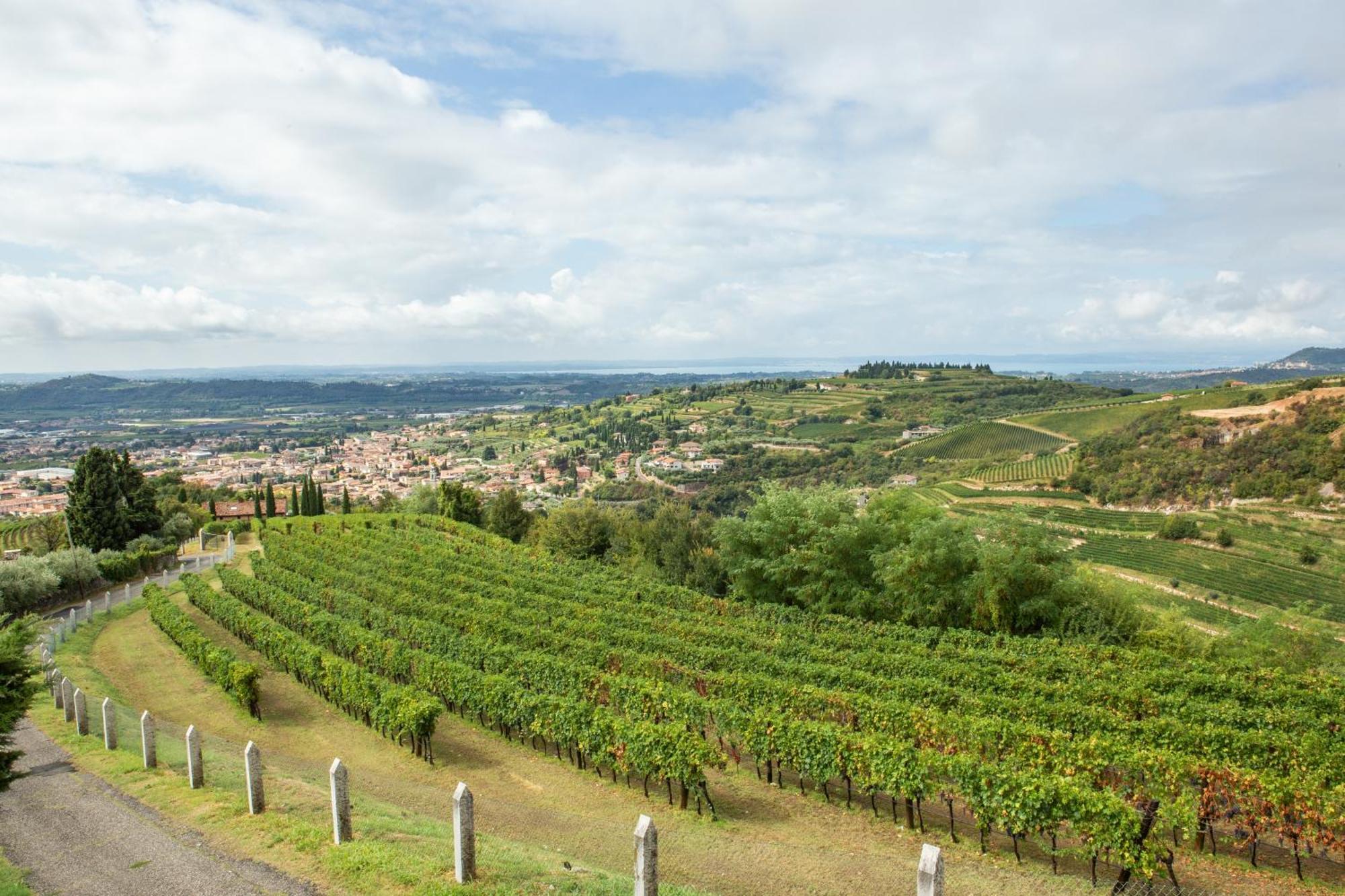 Villa San Giorgio SantʼAmbrogio di Valpolicella Esterno foto